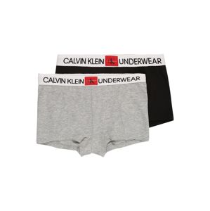Calvin Klein Underwear Spodní prádlo  černá / šedá