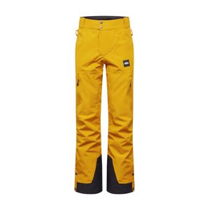 Picture Organic Clothing Sportovní kalhoty  černá / zlatě žlutá