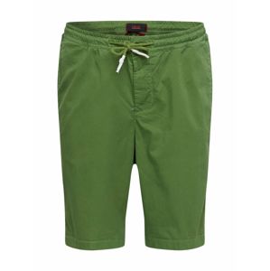 CINQUE Kalhoty 'BUCK'  zelená