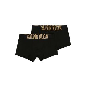 Calvin Klein Underwear Spodní prádlo  černá