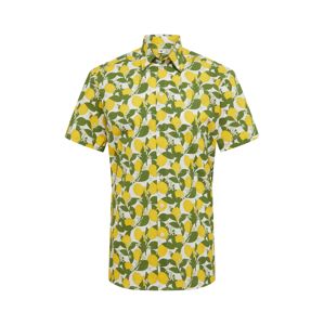Degree Košile 'Zitroner'  zelená / bílá / žlutá