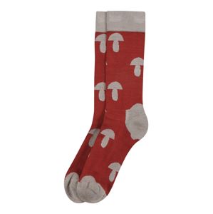 bleed clothing Ponožky 'Mushroom Active'  šedobéžová / červená