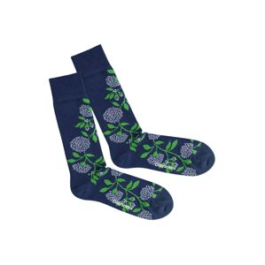DillySocks Ponožky 'Botanical Dream'  modrá / zelená