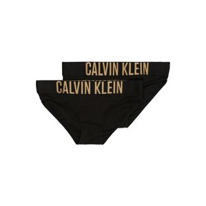 Calvin Klein Underwear Spodní prádlo '2PK BIKINI'  černá