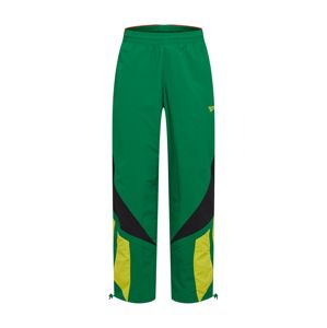 Reebok Classic Kalhoty  barvy bláta / žlutá / zelená